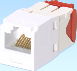 PANDUIT CJ CAT5E RJ45 WITGD