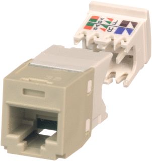 PANDUIT CJ CAT6 RJ45 IVOOR