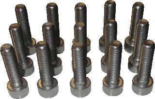 REMEHA SCHROEF M5X18MM 15 STUKS 