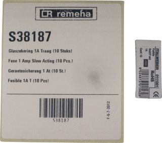 REMEHA GLASZEKERING 1A TRAAG 10 STUKS 