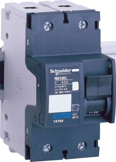 SCHNEIDER ELECTRIC NG125L INSTALLATIEAUTOMAAT 2P IN=10A D-KARAKTERISTIEK