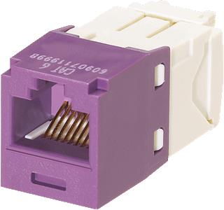 PANDUIT CJ UTP 6 VIOLET