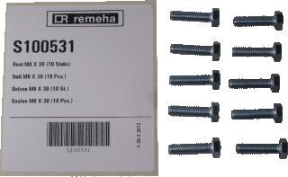 REMEHA BOUT M8X30 (10STUKS) 