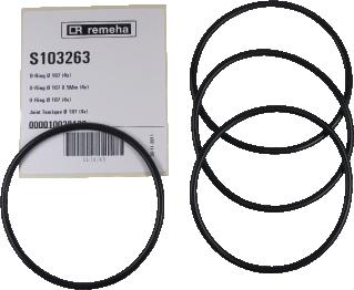 REMEHA O-RING-