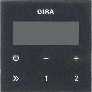 GIRA BDNGDLT INBRDIO RDS 55 ZW