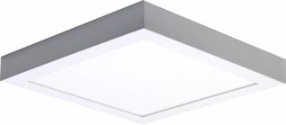 PROLUMIA PRO-CEILING 300X300X39MM OPBOUW 30W 3000K WIT DIMBAAR