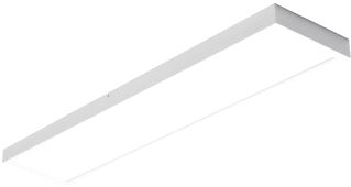 PROLUMIA PRO-CEILING 296 X 1196 X 48MM OPBOUW 40W 3000K WIT