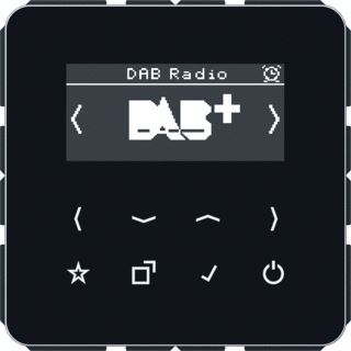 JUNG SMARTRADIO DAB+ CD500 ZWART
