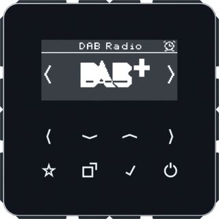 JUNG SMARTRADIO DAB+ CD500 ZWART 