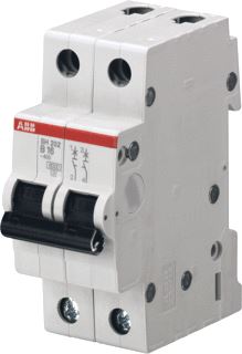 ABB INSTALLATIEAUTOMAAT 2 POLIG-6KA B KAR-