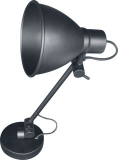 LOOOX LIGHT TWIST SOLO INCLUSIEF LAMP 4W LED WARM WIT FITTING E27 RVS MAT ZWART 