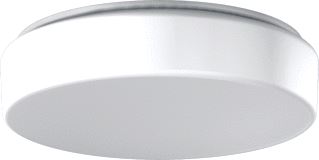 RZB PLAFOND-/WANDARMATUUR LAMPTYPE LED NIET UITW V/PLAFONDMONTAGE 
