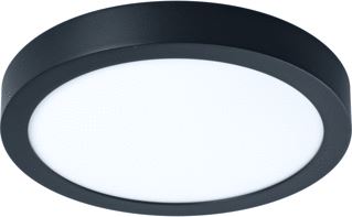 PROLUMIA PRO-CEILING 300X39MM OPBOUW 30W 4200K ZWART DIMBAAR