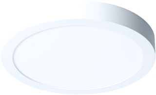 PROLUMIA PRO-CEILING 300X39MM OPBOUW 30W 2700K WIT