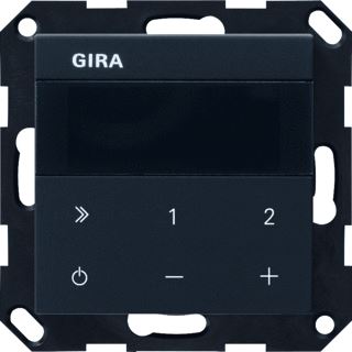 GIRA IB RADIO IP S55 ZMT