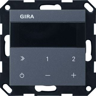 GIRA IB RADIO IP S55 ANT