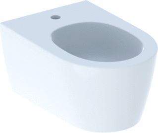 GEBERIT BIDET ONE KER WIT (BXDXH) 370X540X300MM WAND 1 KRAANG 