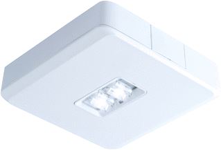 ABB VAN LIEN EVAGO NOODVERLICHTING 274LM 5600K 24V PLAFOND ALUMINIUM IP54 HXBXL 35X150X150MM WIT 