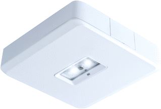 ABB VAN LIEN EVAGO NOODVERLICHTING 274LM 5600K 24V PLAFOND ALUMINIUM IP54 HXBXL 35X150X150MM WIT 