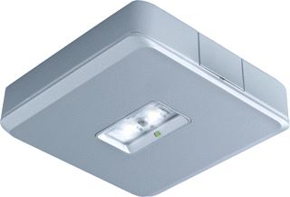 VAN LIEN DECENTRAAL 2 WATT ONTWORPEN VOOR MONTAGE VANAF 4 METER EN HOGER ALU CONTINU OPBOUW LED ARMATUUR SERIE EVAGO WIJD (W) 