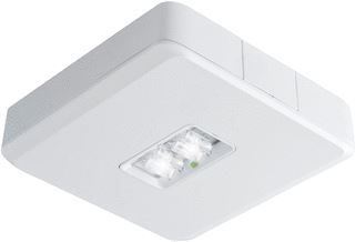 ABB VAN LIEN EVAGO NOODVERLICHTING DECENTRAAL 2W CONTINUE OPBOUW 22MTR WIT BLUETOOTH