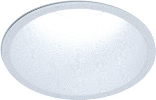 DELTA LIGHT DOWNLIGHT/SPOT/SCHIJNWERPER TEMP 3000K SUBCATEGORIE SPOT 