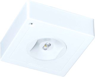 AWB FAMOSTAR CELO CS VPS-1 XL NOODVERLICHTING PLAFOND OPBOUW 2W 190LM KUNSTSTOF IP40 WIT 