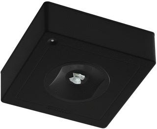 AWB FAMOSTAR CELO CS VPS-1 XL CINEMA NOODVERLICHTING PLAFOND OPBOUW 2W 190LM KUNSTSTOF IP40 WIT 