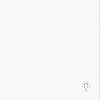 ABB BUSCH JAEGER BUSCH-ART LINEAR 6231-10-44M BEDIENINGSWIP 1-VOUDIG MET SYMBOOL LICHT