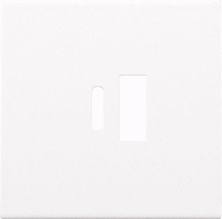 NIKO AFWERKINGSSET VOOR DUBBELE SMART USB-A- EN USB-C-LADER WHITE COATED