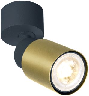 SLV PURI 2.0 TUBE WAND- EN OPBOUWPLAFONDARMATUUR 1 X MAX. 6W GU10 ZWART/GOUD