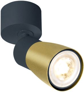 SLV PURI 2.0 DOME WAND- EN OPBOUWPLAFONDARMATUUR 1 X MAX. 6W GU10 ZWART/GOUD